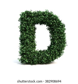 Buxus Alphabet