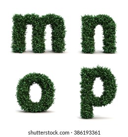 Buxus Alphabet