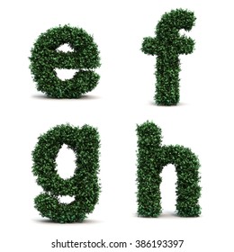 Buxus Alphabet