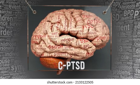 C Ptsd Anatomy - Its Causes And Effects Projected On A Human Brain Revealing C Ptsd Complexity And Relation To Human Mind. Concept Art, 3d Illustration