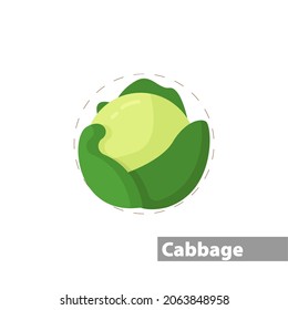 Cabbage Isolated Illustration On White Background. Cabbage Clipart. Cabbage Flat Icon.