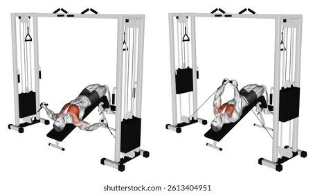 Cable Decline Fly. Chest exercise. Workout illustration training guide