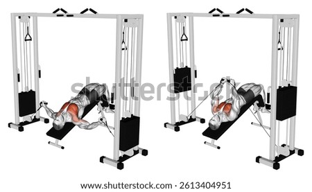 Cable Decline Fly. Chest exercise. Workout illustration training guide
