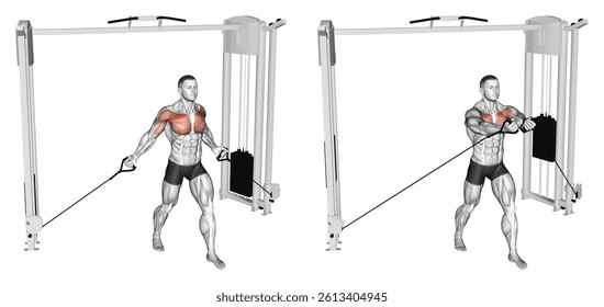 Cable Low Fly. Chest exercise. Workout illustration training guide