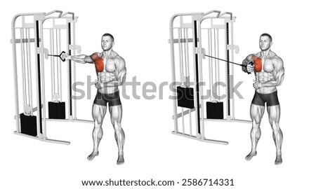 Cable Standing Single Arm Fly. Chest exercise. Workout illustration training guide