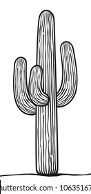 44,740 Saguaro cactus Images, Stock Photos & Vectors | Shutterstock