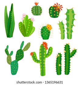 800+ Gambar Flora Kaktus HD Paling Baru 800+ Gambar Flora Kaktus HD Paling Baru