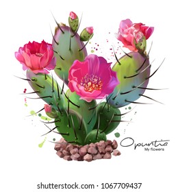 The Cactus Opuntia Watercolor Painting