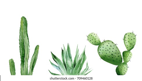 Cactus Set And Agave Plant. Watercolor Illustration On White. 