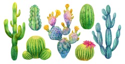 Cactus Set, Acuarela Pintada A Mano Aislado Cactus. Saguaro, Opuntia, Cereales Y Otros.