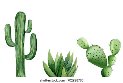 Cactus Set. Watercolor Illustration On White.