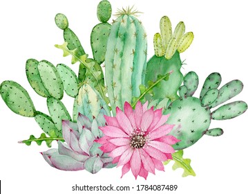 Cactus and succulent arrangement with pink flower. Watercolor hand-drawn illustration isolated on the white background. Tropical home and garden decoration.