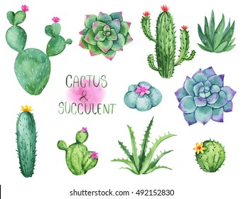 Cactus And Succulent Watercolor Clipart Set. Hand Drawn Illustrations