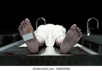 死体解剖hd Stock Images Shutterstock