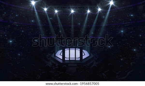 Cage fight\
arena. Audience view of fighting arena with fans and shining\
spotlights. Digital sport 3D\
illustration.
