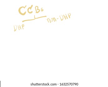 Calcium Channel Blockers Are DHP And Non-DHP.