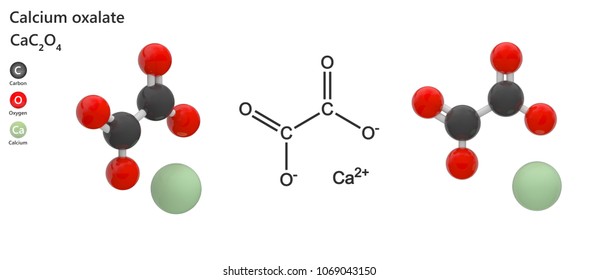 Calcium Oxalate Structure