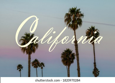 California Wallpaper Featuring Palm Tree Silhouettes Against A Calming Blue And Violet Gradient In The Sky