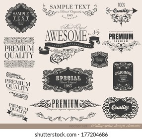 Vintage Labels Ornaments Set Vector Ornaments Stock Vector (Royalty ...