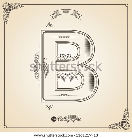 Calligraphic Fotn with Border, Frame Elements and Invitation Design Symbols. Collection of  glyph. Certificate Decor. Hand written retro feather Symbol. Letter B