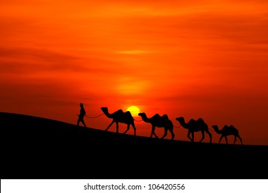 camel caravan silhouette with sunset