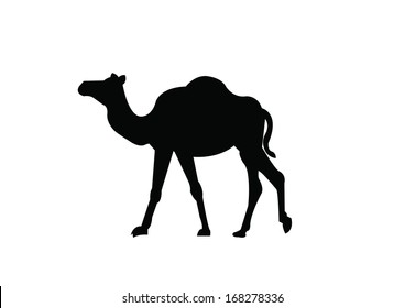 Camel Silhouette Illustration