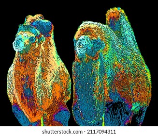 Camel  is an ungulate within the genus Camelus, bearing distinctive fatty deposits known as humps on its back  sign illustration pop-art background icon with color spots
