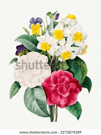 Camellia an narcissus bouquet. Beautiful flower illustration. Vintage flower painting. Vintage flower illustration for wall art.