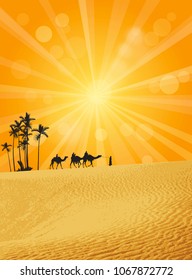 Camels And Palm Trees On Sahara Desert At Sunburst