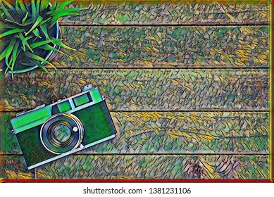 A camera and a plant kept on a table