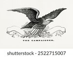 The campaigner (1819) American eagle by Jacob Plumer. Black and white American eagle vintage art drawing illustration, old eagle bird sketch painting art print on white background.