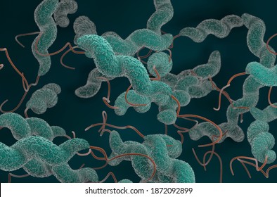 Campylobacter Jejuni Bacteria 3d Render Illustration