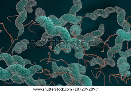 Campylobacter jejuni bacteria 3d render illustration