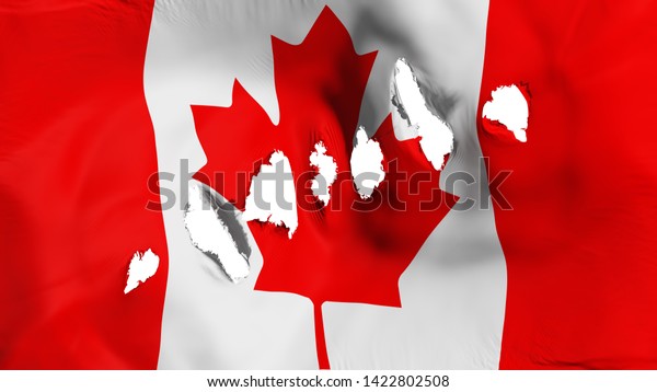 Canada flag perforated, bullet holes, white
background, 3d
rendering