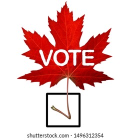Canada Vote Symbol And Canadian Election Concept With A Red Maple Leaf Shaped As A Check Mark In A 3D Illustration Style.