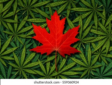 Canadian Marijuana Concept And Canada Cannabis Law And Legislation Social Issue As Medical And Recreational Weed Usage Icon As A Red Maple Leaf On Green Pot Symbols In A 3D Illustration Style.