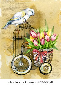 canary bird watercolor illustration. bird cage. flower tulips. romantic vintage background 