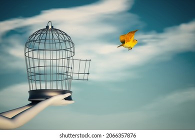 Canary Flying Off A Bird Cage Holded  By Hands. Set Free And Open Mind Concept. This Is A 3d Render Illustration