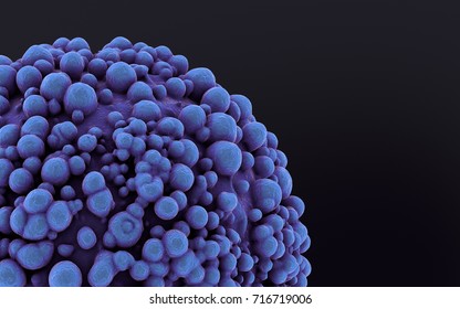Cancer cell 3D