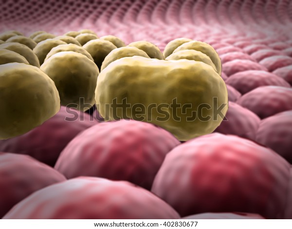 cancer cell, 3d rendered cancer cell, Clusters of\
cells, Microscopic image of cells, 3d rendering, division of cancer\
cells, group of fat\
cells