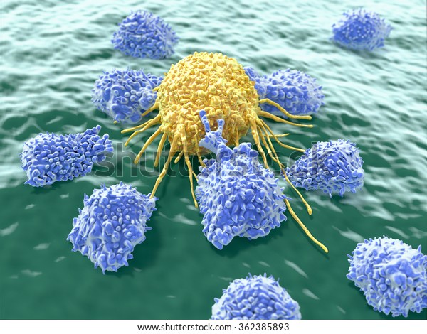 Cancer cell attacked by\
lymphocytes 