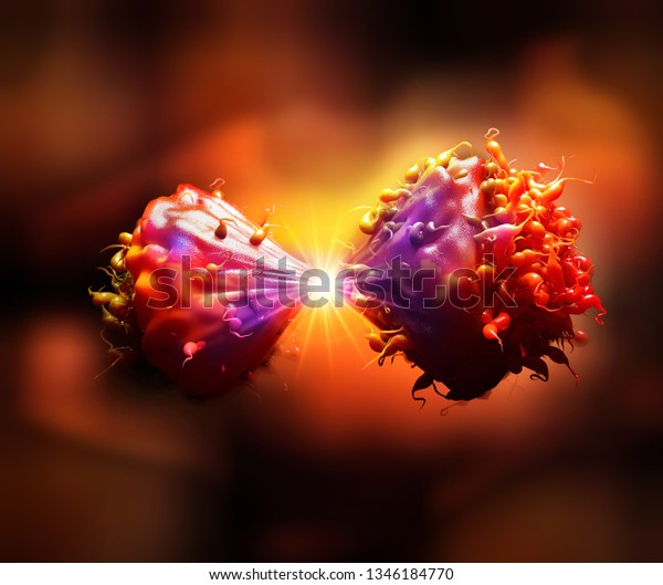 Cancer cell in the moment that divides 3d\
illustration -\
Ilustracion