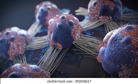cancer cells 