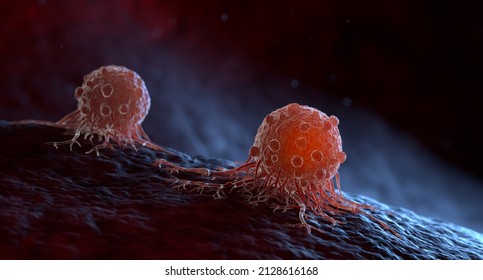 citomegalovírus a péniszen