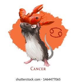 Cancer Creative Digital Illustration Of Astrological Sign. Rat Or Mouse Symboll Of 2020 Year Signs In Zodiac. Horoscope Water Element. Logo Sign With Crab. Graphic Design Clip Art For Web And Print