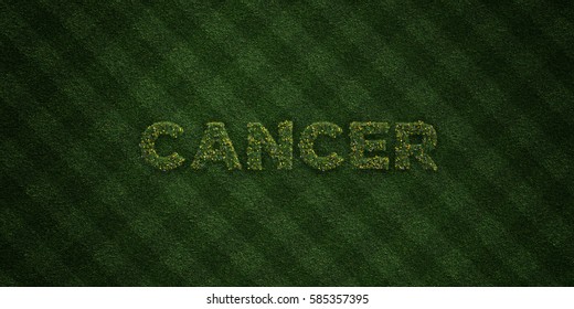 CANCER - Fresh Grass Letters With Flowers And Dandelions - 3D Rendered Royalty Free Stock Image. Can Be Used For Online Banner Ads And Direct Mailers.
