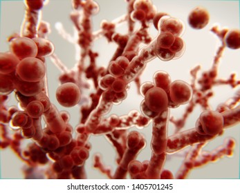 Candida Albicans Can Become Pathogenic In Immunocompromised Persons. It Causes The Infection Candidiasis. It's One Of The Most Common Hospital Acquired Infections. 3d Rendering