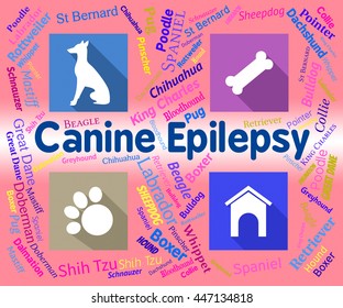 Canine Epilepsy Showing Pet Puppies And Fits