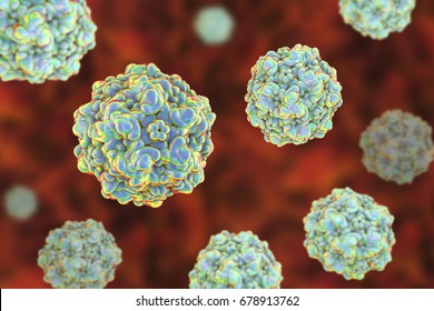 Canine Parvovirus, 3D Illustration. A Virus Which Causes Intestinal And Cardiac Infections In Dogs