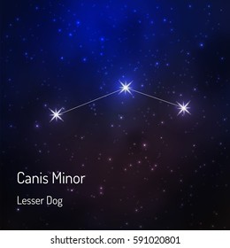 Canis Minor (Lesser Dog)  Constellation In The Night Starry Sky